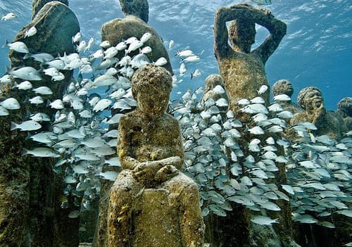 Snorkeling at MUSA, Cancun