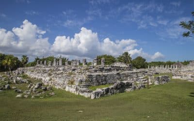 Panoramic view of El Rey archaeological site