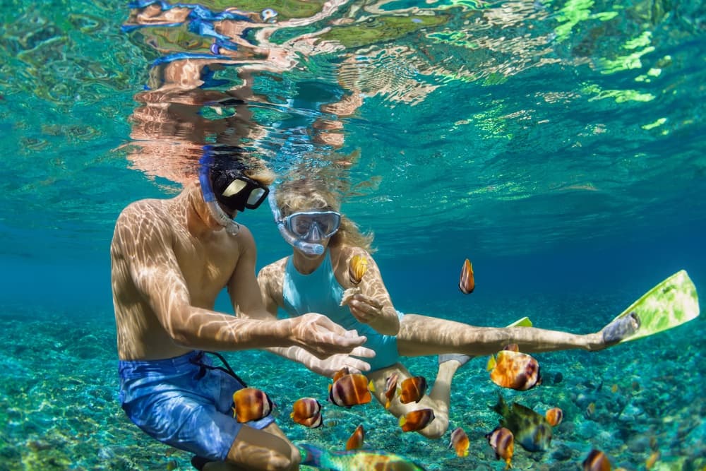 Fazer snorkel em Isla Mujeres