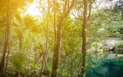 Sunset in crystal clear cenote
