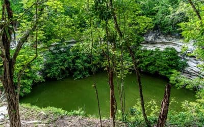 The Great Cenote Chichén Itzá