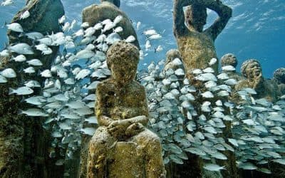 Snorkeling at MUSA, Cancun