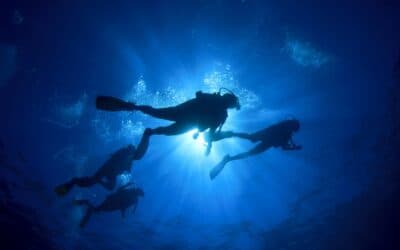 Cozumel, the must-visit island in Mexico