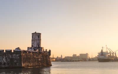 Overview of the Veracruz Tour