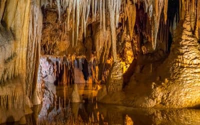 Rio Secreto Activity