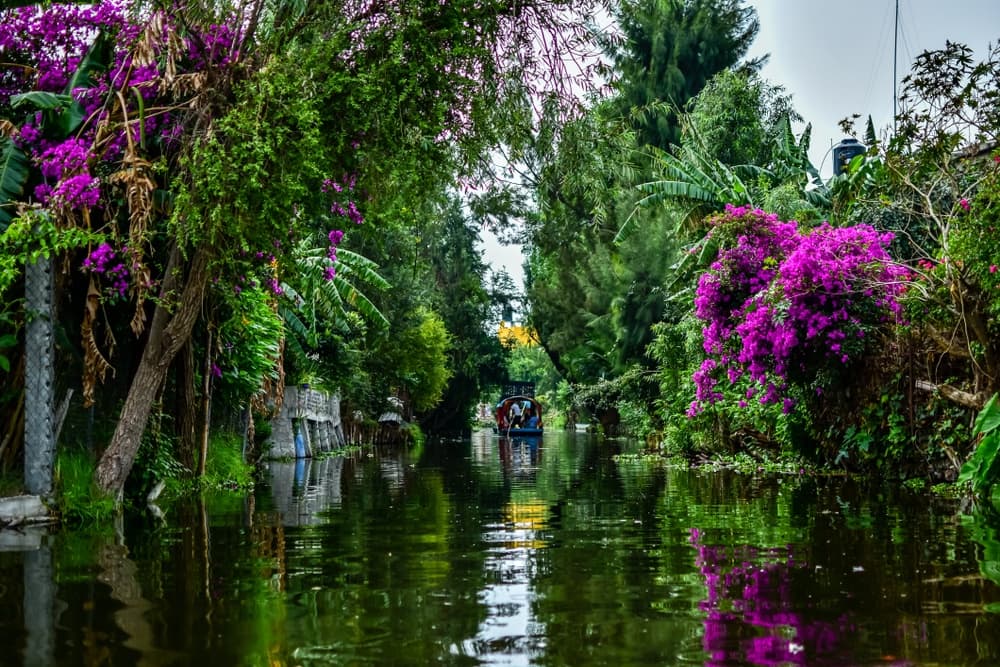 Panorámica de los canales en Xochimilco