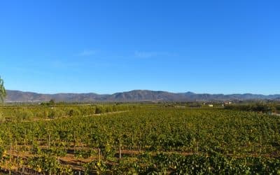 Guadalupe Valley, Ensenada