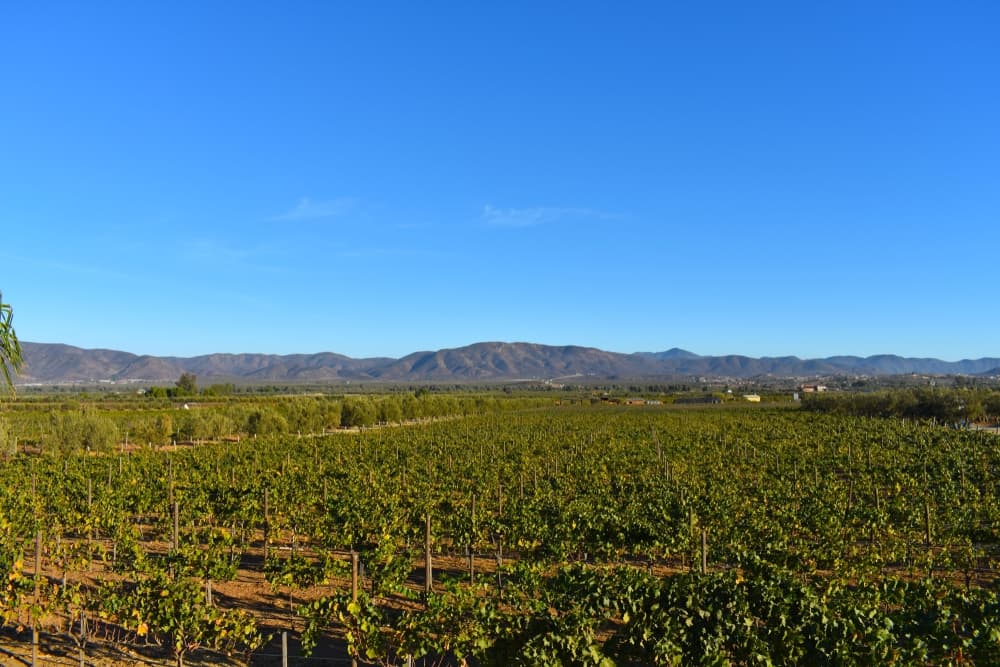 Guadalupe Valley, Ensenada