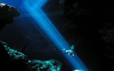 Diving in the Gran Cenote Tulum