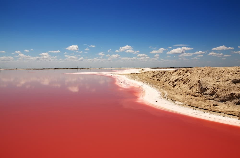 Você já conhece o Río Lagartos?