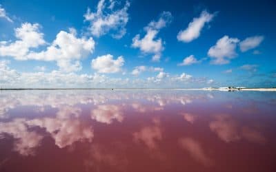 Las Coloradas Beach