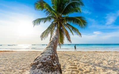 Paradise beach views