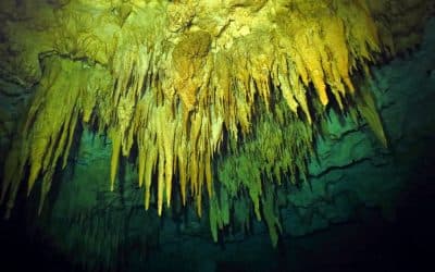 inside cenote choo ha