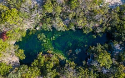 The Garden of Eden cenote