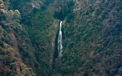 Park with waterfall in Puebla