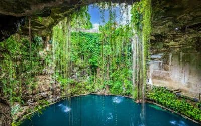 Interior cenote in Riviera Maya