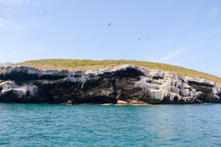 Acantilado de la Isla Isabel, Nayarit