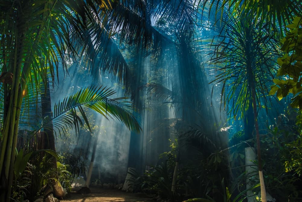 Tulum Trip Destination