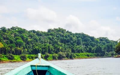 Lacandon Jungle Trip
