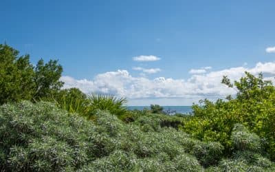 Panoramic view of Banco Chinchorro Reserve