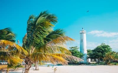 Xcalak Park Mexico Quintana Roo