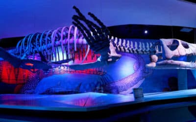 museums in puebla, mexico