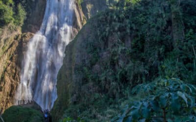 chiapas' nature